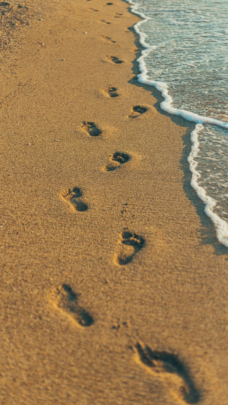 artem stoliar 9irc2c8s5wy unsplash